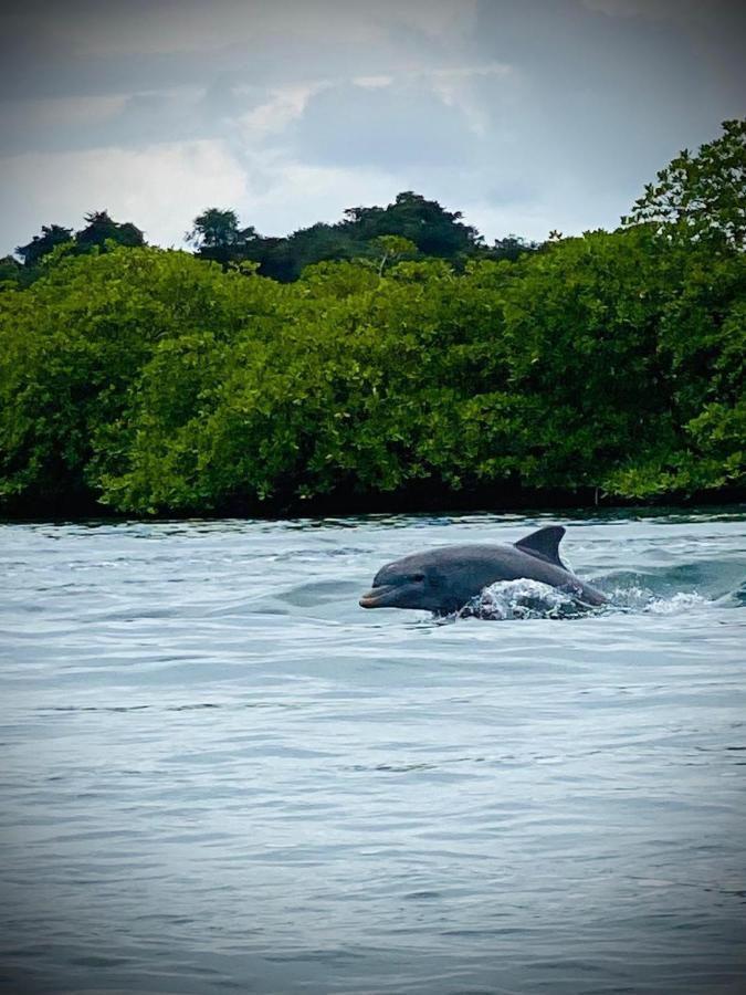 Kevin Kondos Bocas del Toro Exterior foto